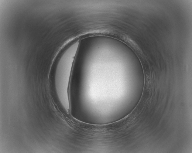 X0000062900628200601131044
