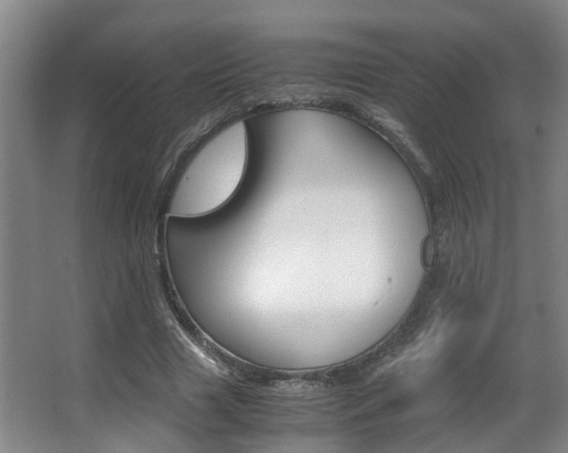 X0000062900633200601131044