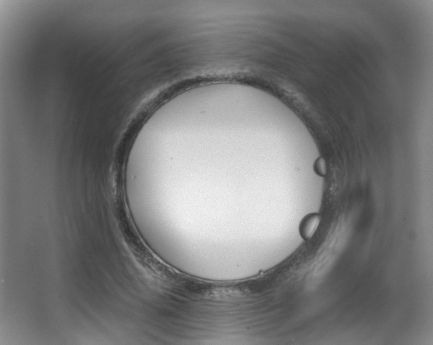X0000062900636200601131044