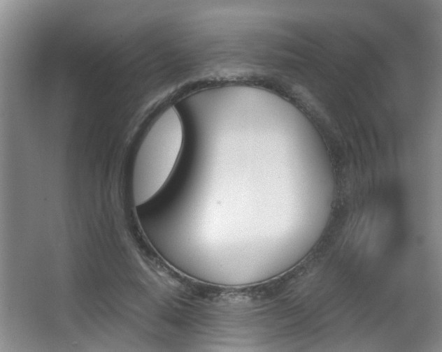 X0000062900640200601131044