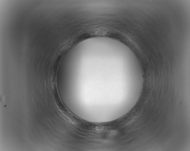 X0000062900641200601131044