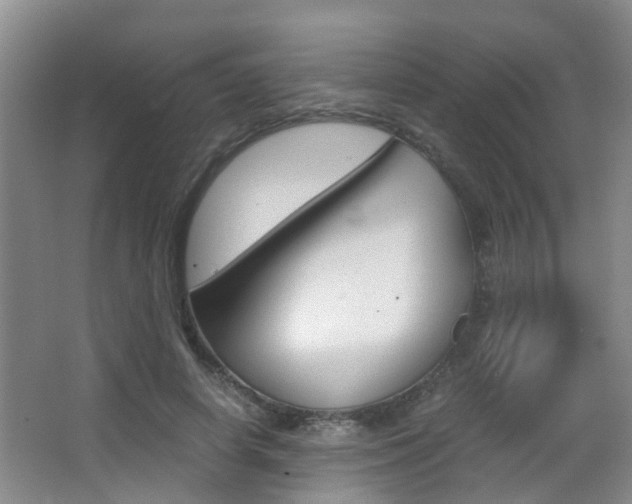 X0000062900642200601131044