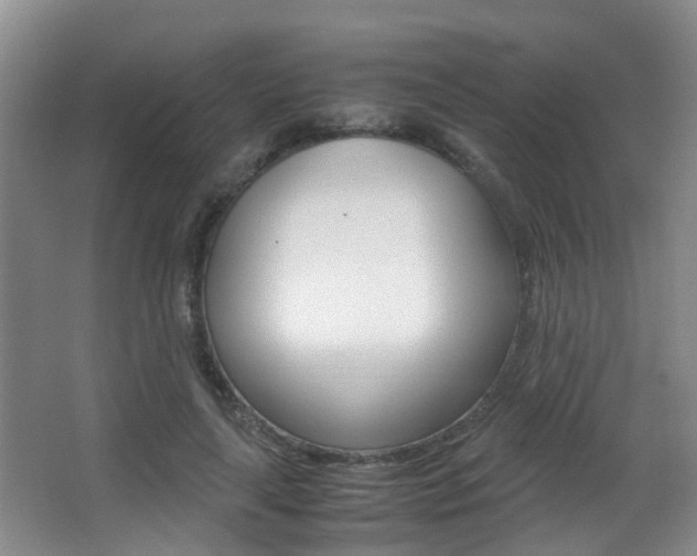 X0000062900643200601131044