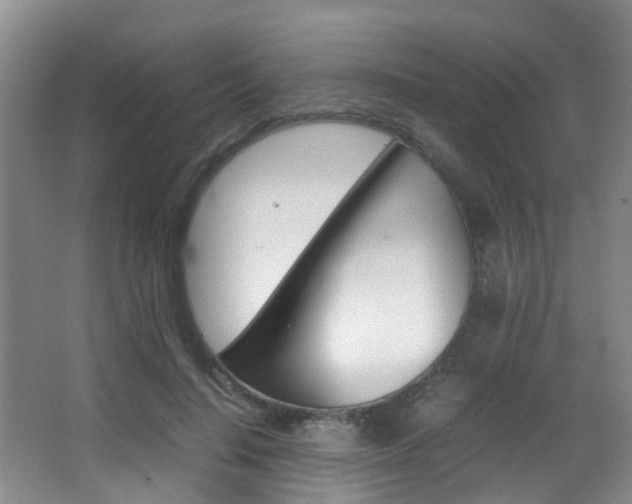 X0000062900644200601131045