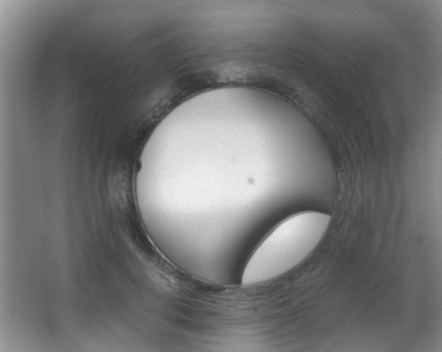 X0000062900648200601131045