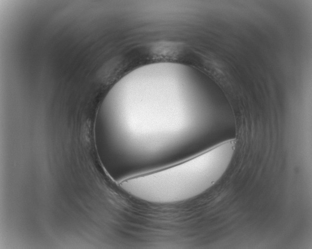 X0000062900649200601131045