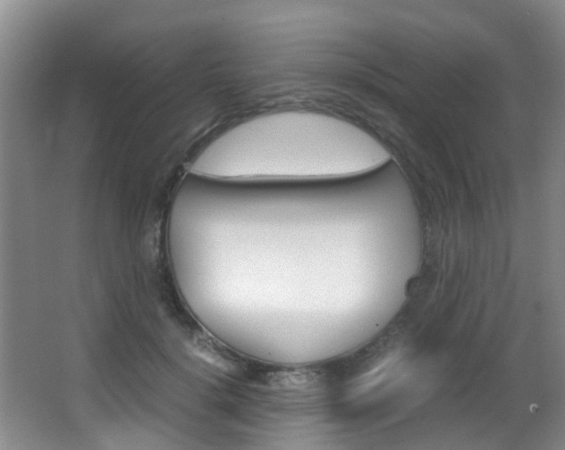 X0000062900652200601131045