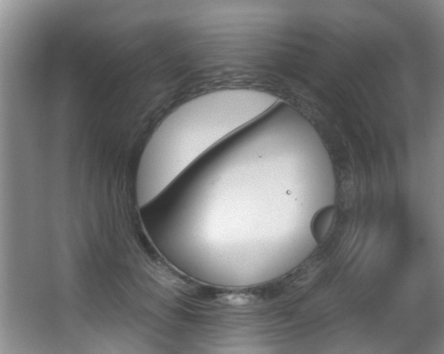 X0000062900654200601131045