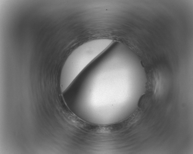 X0000062900656200601131045