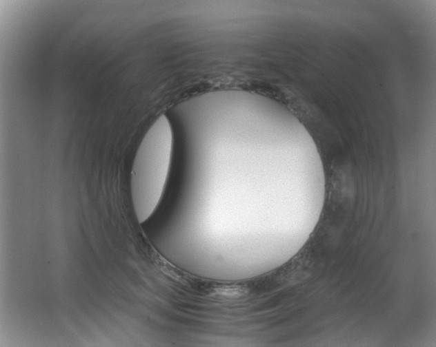 X0000062900659200601131045