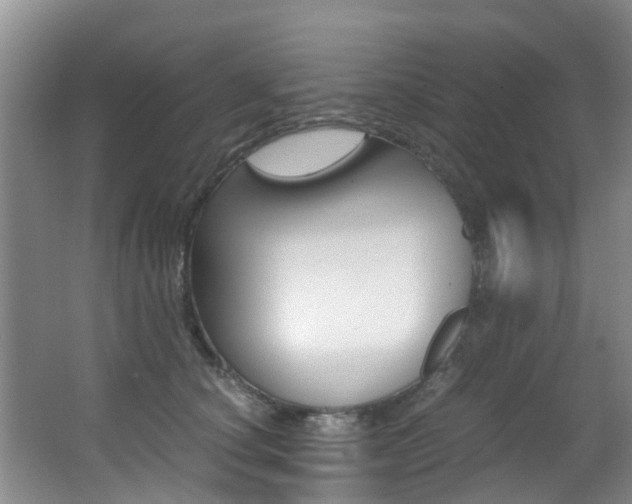 X0000062900660200601131045