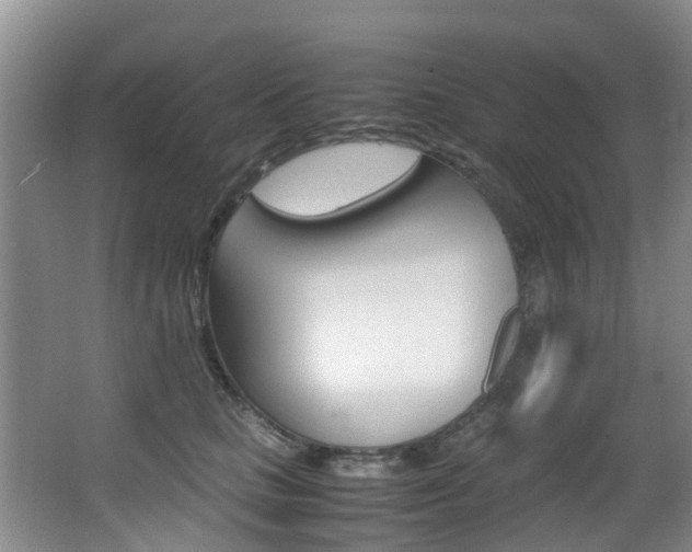 X0000062900661200601131045