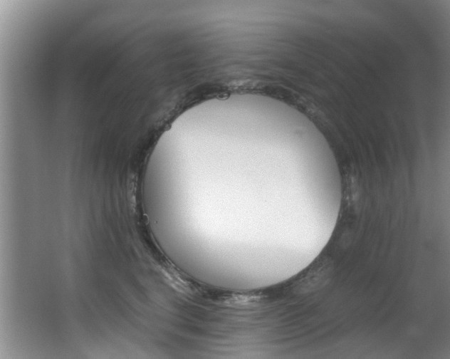 X0000062900664200601131045
