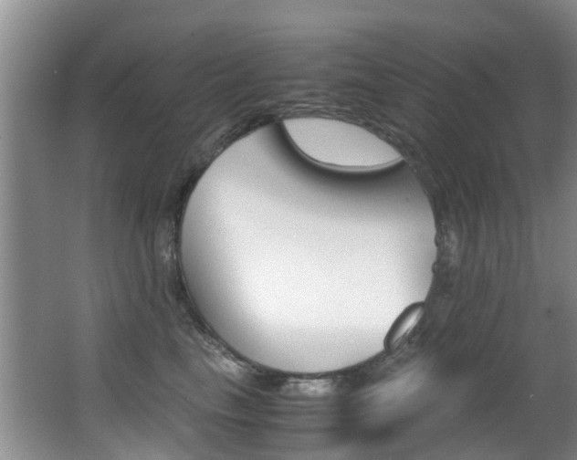X0000062900665200601131045