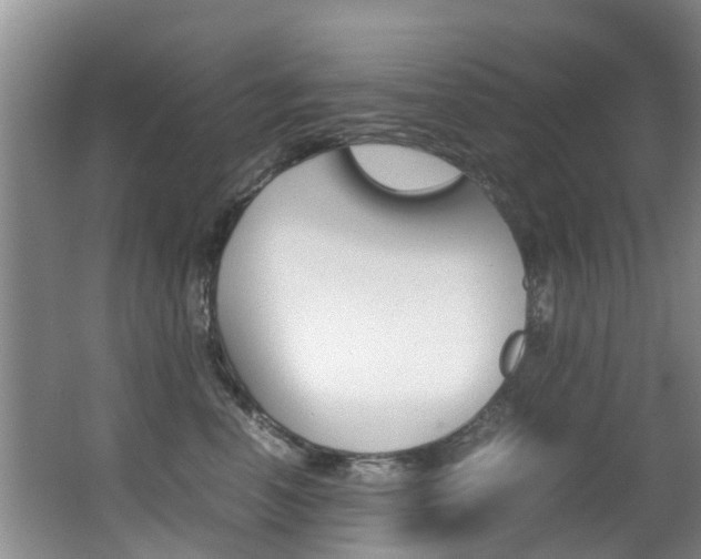 X0000062900666200601131045