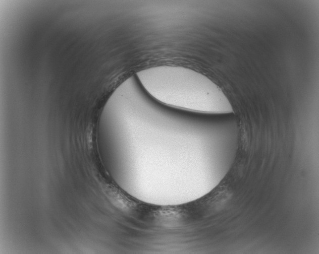 X0000062900668200601131045