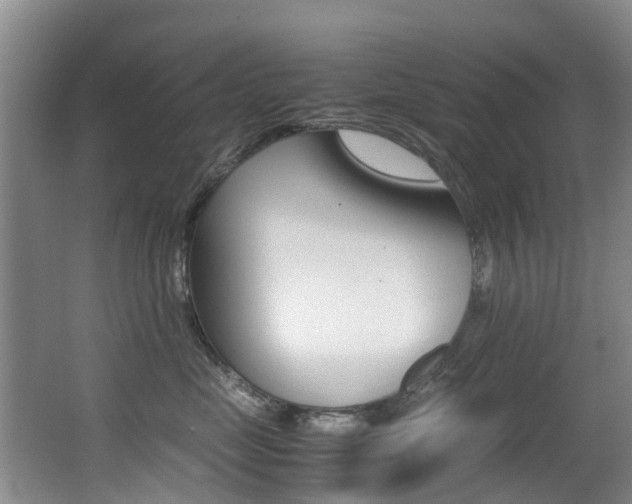 X0000062900669200601131045