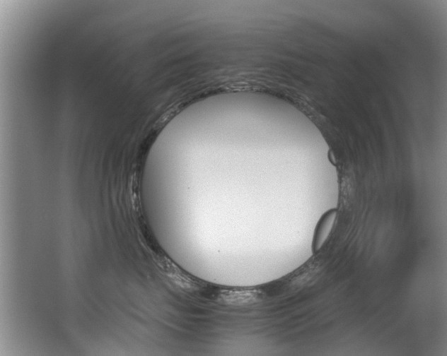 X0000062900671200601131045
