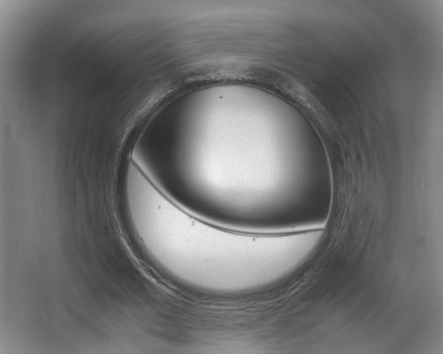 X0000062900677200601131044