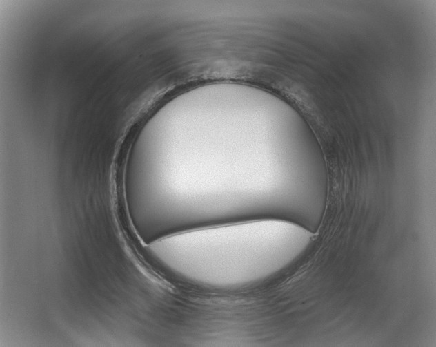 X0000062900678200601131044