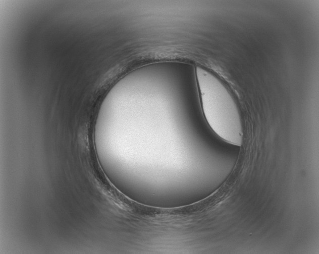 X0000062900681200601131044