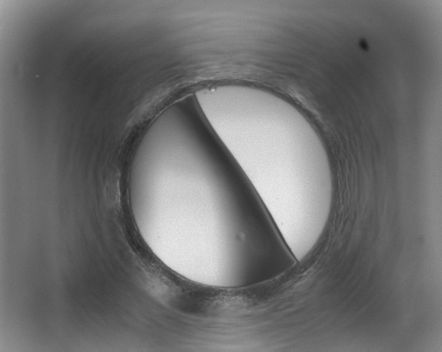 X0000062900685200601131044