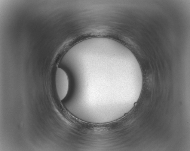 X0000062900686200601131044
