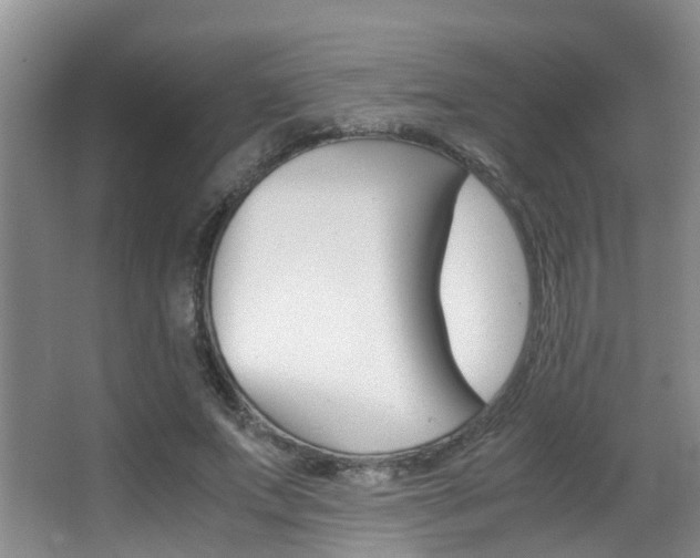 X0000062900687200601131044