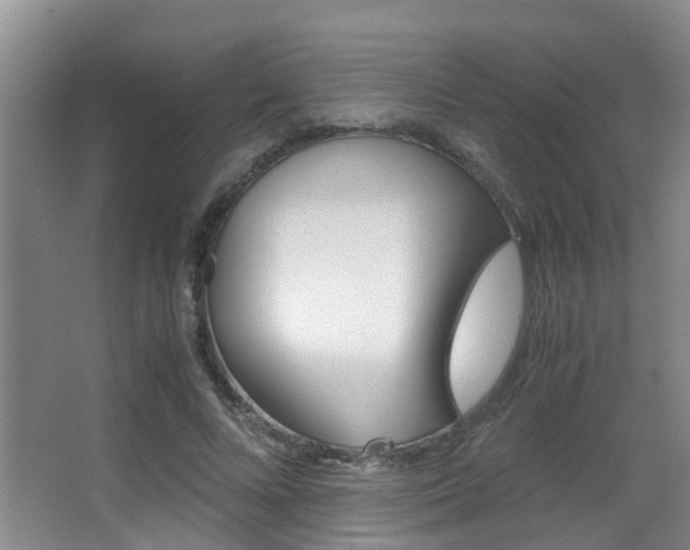 X0000062900688200601131044