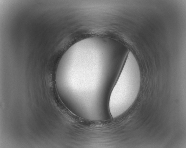 X0000062900689200601131044