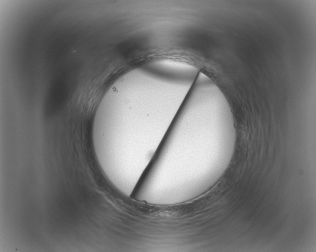 X0000062900691200601131044