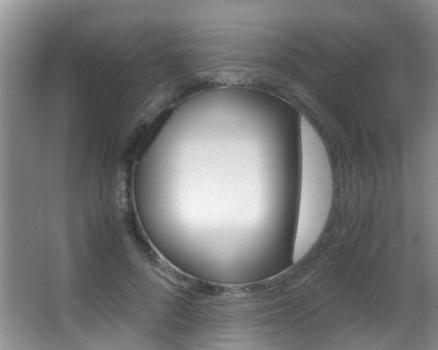 X0000062900696200601131044