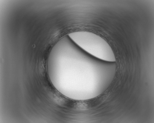 X0000062900702200601131044
