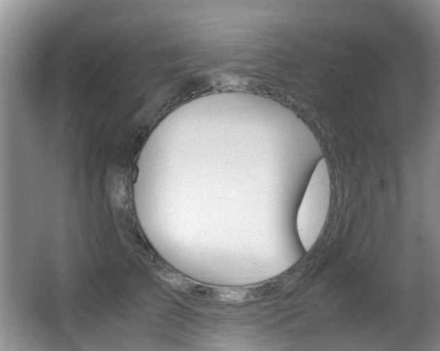 X0000062900709200601131044