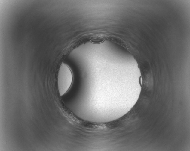 X0000062900715200601131043