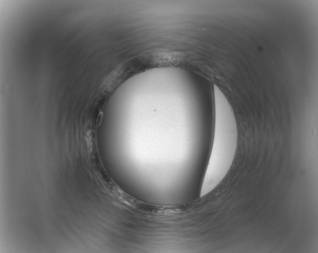 X0000062900716200601131043