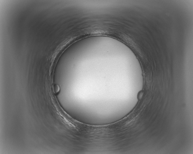 X0000062900721200601131043