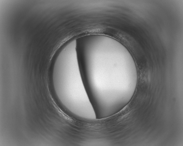 X0000062900725200601131043
