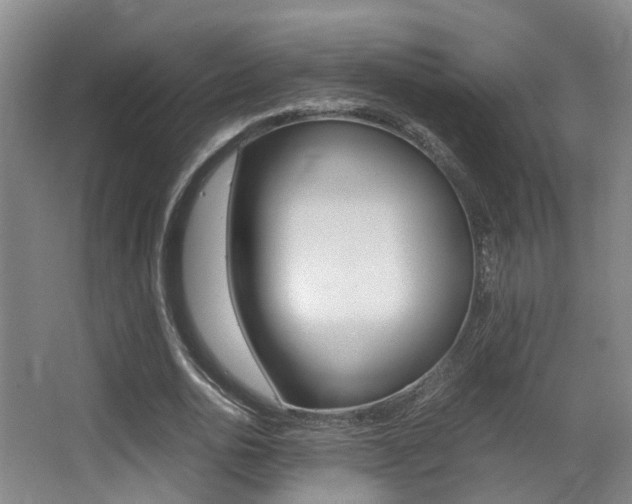 X0000062900726200601131043