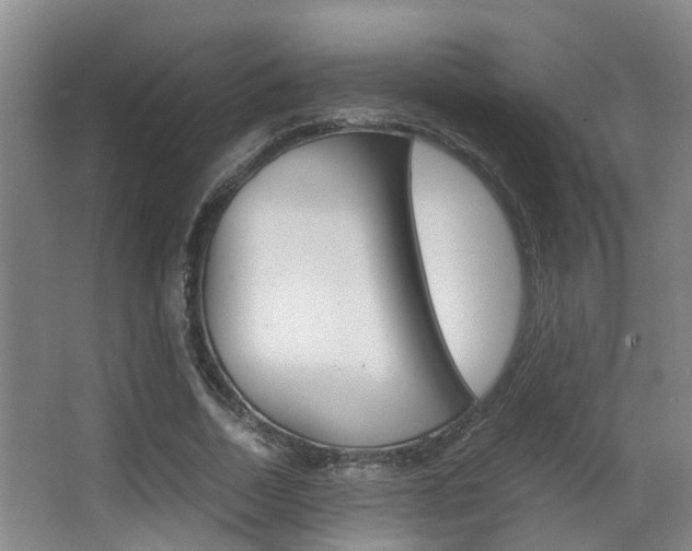 X0000062900730200601131043