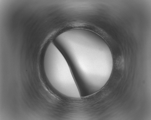 X0000062900732200601131043