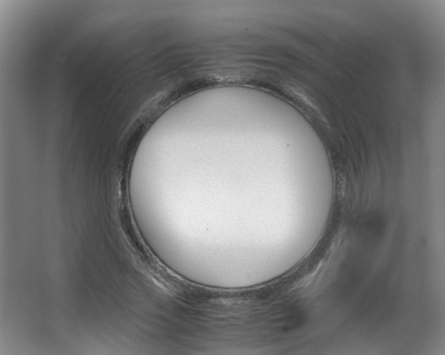 X0000062900733200601131043