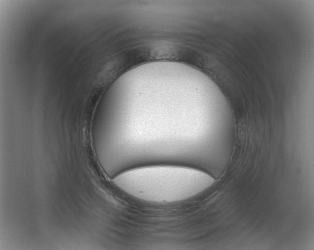 X0000062900741200601131043