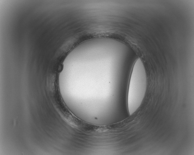 X0000062900742200601131043