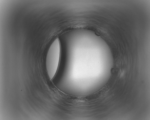 X0000062900743200601131043