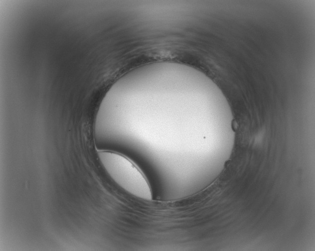 X0000062900747200601131043