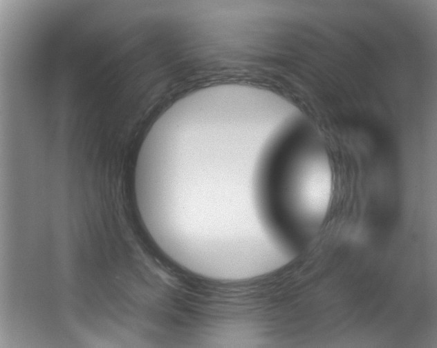 X0000062900750200601131043