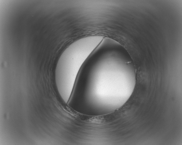 X0000062900756200601131043