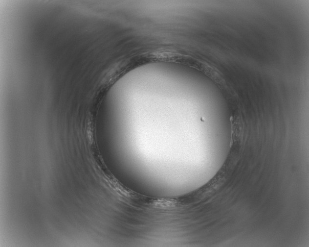 X0000062900762200601131043