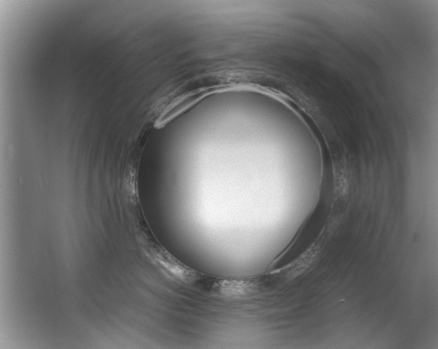 X0000062900766200601131043